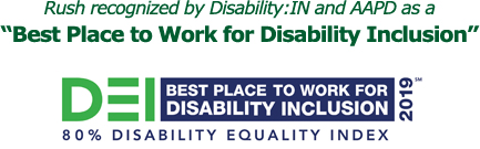 Disability Inclusion 2019